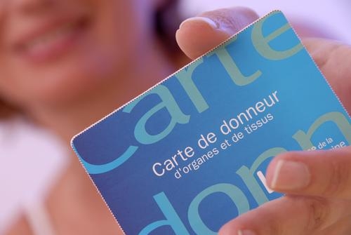 Carte de Donneur Carte de Donneur