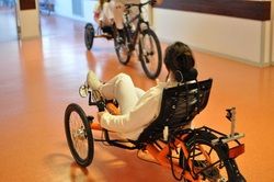 Une personnes handicapés sur un vélo servant de base a projet d'aide a l'insertion 