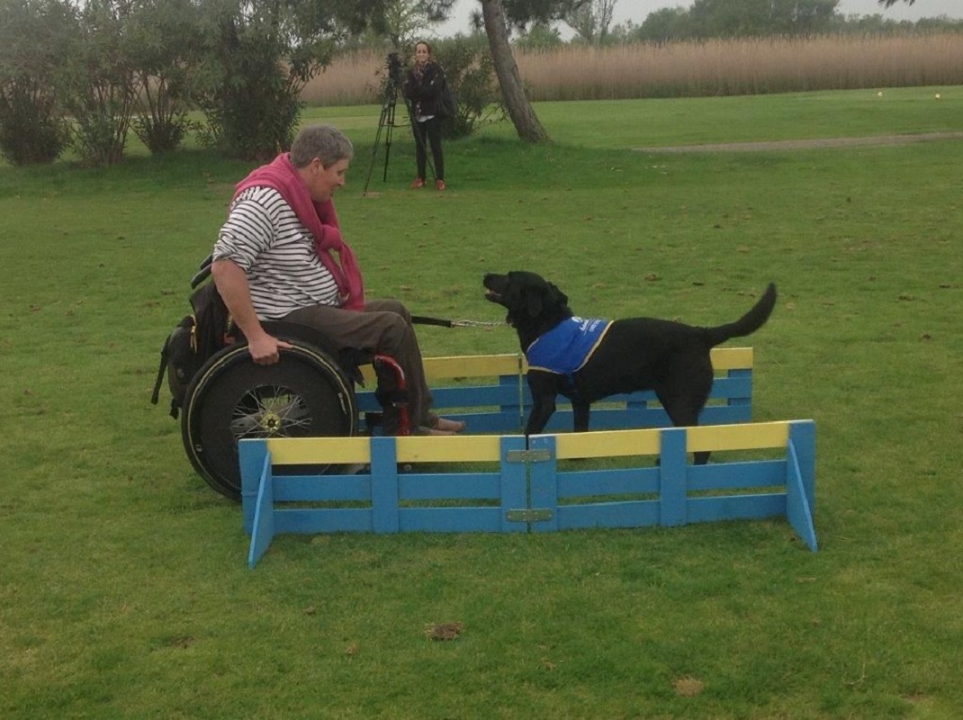Presentation parcour Handi-Chien