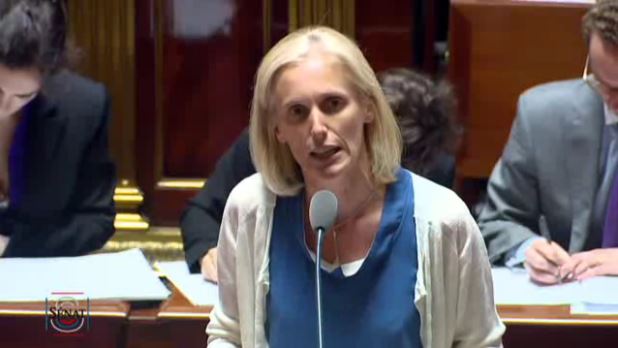 Segolene NEUVILLE question d actualite au Senat