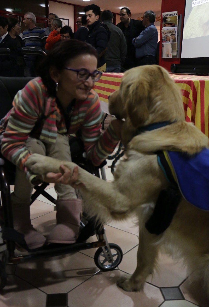 Emmanuelle tendant la main a son chien d assistance qui porte le nom de d'Impoo © Stéphane LAGOUTIERE/fhi