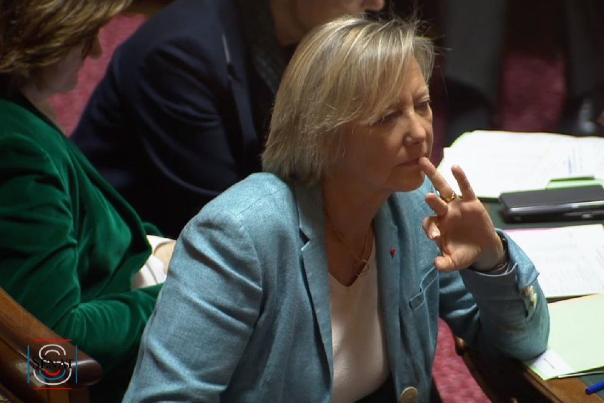 Sophie cluzel lors des questions dactualité le 20 fevrier 2019 36ade