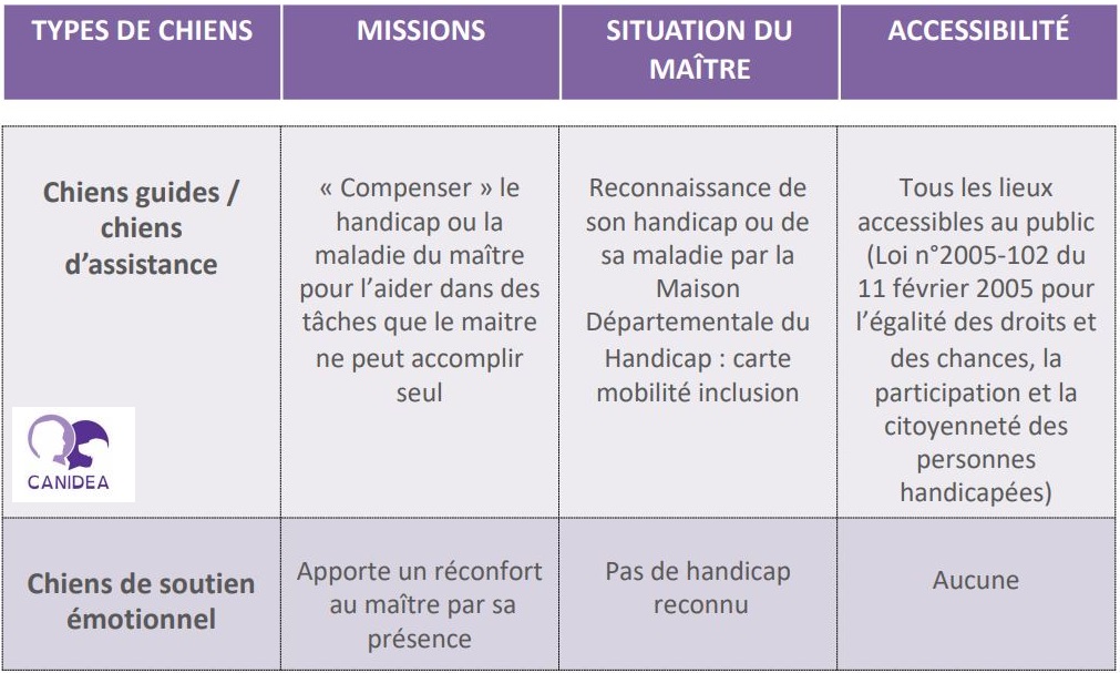 Tableau différentielle entre le chien guide d'assistance et le chien de soutien émotionnel 647bb