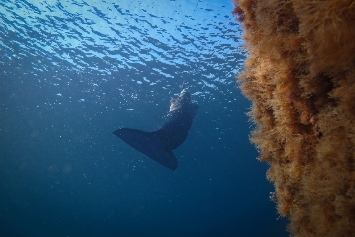 Thierry CORBALAN ici sous l'eau avec une combinaison speciale Thierry CORBALAN ici sous l eau avec une combinaison speciale