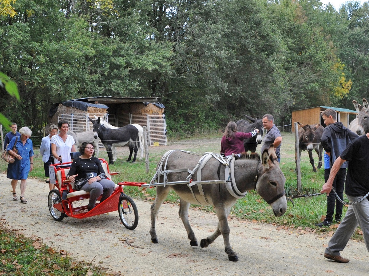 Une femme en situation de handicap physique sur l'escargoline 615f6