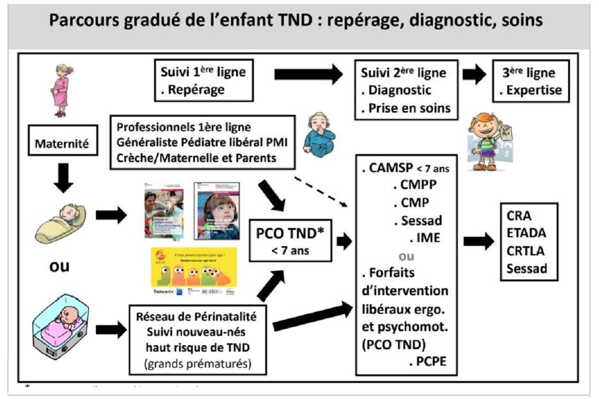 Parcours gradué de l'enfant TND repérage, diagnostic, soins 525dc