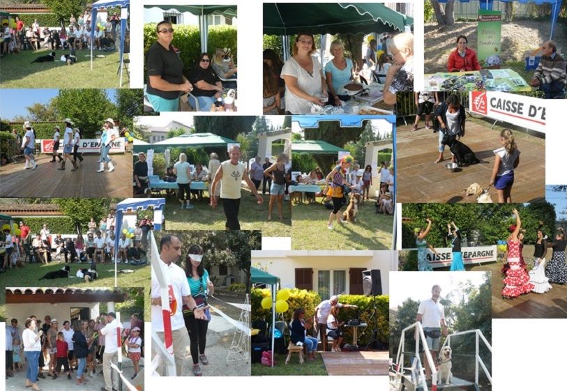 Ecole mediterraneenne de chiens guides d aveugles