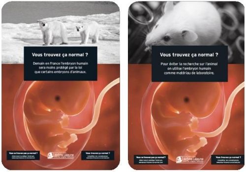 Recherche sur les cellules souche. Au coeur d'une nouvelle bataille parlementaire dix huit mois après le vote de la loi Bioéthique en juillet 2011