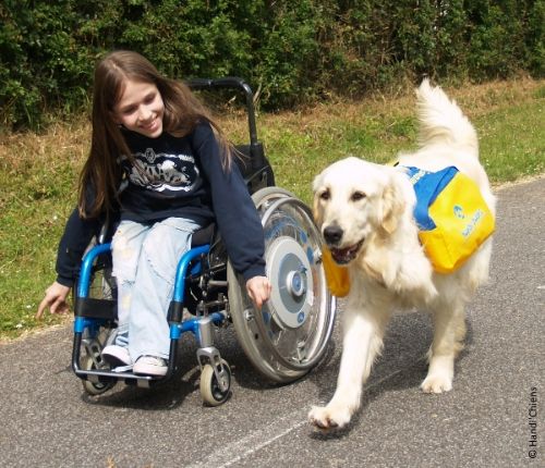 2012.07.16.associatio-handi-chien