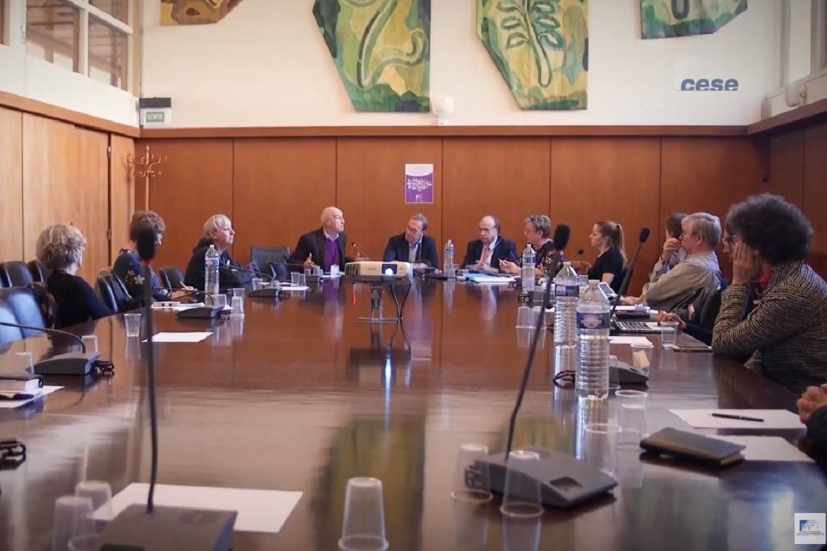 La commission des affaires sociales et de la santé du CESE étudiant la maladie chronique 32e80