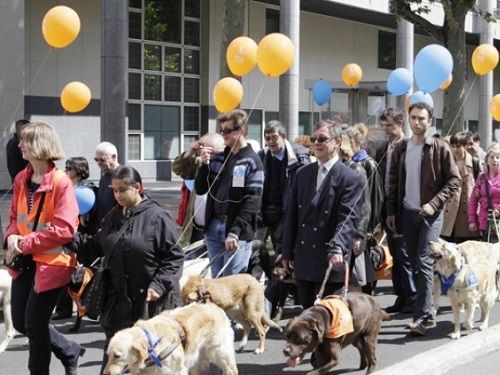 les propriétaires de chien-guide d'aveugles manifestant pour le respect de leurs droits