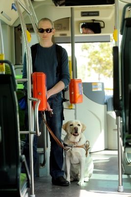 Un chien guide d'aveugle indiquant un siège vide dans un parcs parisien le 29 septembre 2009 (Archives)