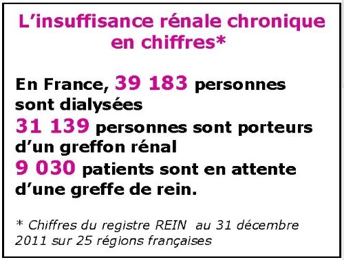 Huitième Semaine du rein 2013 (Illustration)