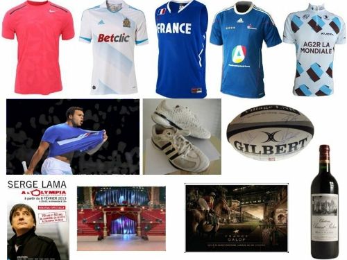 Par ordre de gauche a droite quelques exemple de lots mise en vente : Le maillot dédicacé de Rafael Nadal du tournoi d’exhibition du Paris Country Club. Le maillot 2011/2012 de l’Olympique de Marseille dédicacé par ses joueurs. Le maillot de l’Equipe de France de Basket-ball dédicacé par ses joueurs. Le maillot de l’Equipe de France de Handball dédicacé par ses joueurs. Un maillot dédicacé par ses cyclistes de l’équipe AG2R La Mondiale. Le maillot de Jo-Wilfried Tsonga, dédicacé et porté lors du dernier ATP Paris Bercy Master Series. Les chaussures de Laura Flessel portées lors des derniers championnats du monde d’escrime. Le ballon officiel de la demi-finale de Top 14 Toulon-Clermont dédicacé par les joueurs des 2 équipes ©FFSA