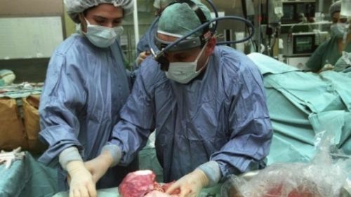 Un chirurgien prélèvent un organe. Le 23 Mai dernier un réseau hors-la-loi de collecteurs et de trafiquants d'organes, qui exploitait à la fois les donneurs et les bénéficiaires des organes, a été découvert au moins 10 citoyens israéliens ont été arrêtés pour appartenance à la bande le trafiquants d'organes ©Joel MASTIN