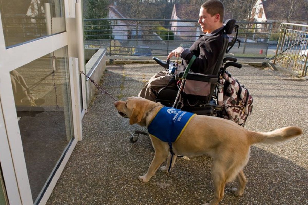 Une personnes en situation de handicap accompagne de son guide sur le territoire belfort