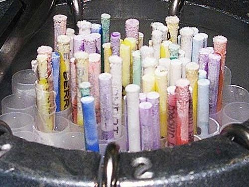 Embryon humain lors de son processus divsonnaire