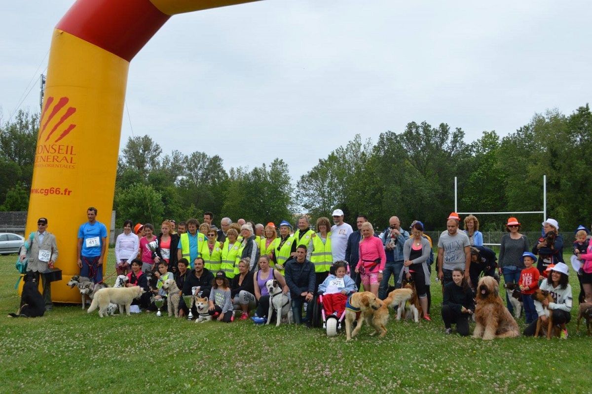 Premier Canicross organise par l association La Catalane Handi chiens