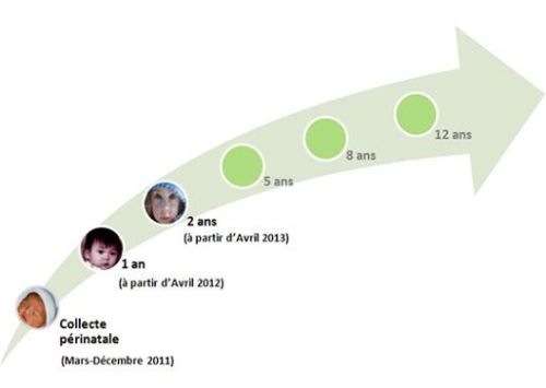 Etude Inserm Epipage 2