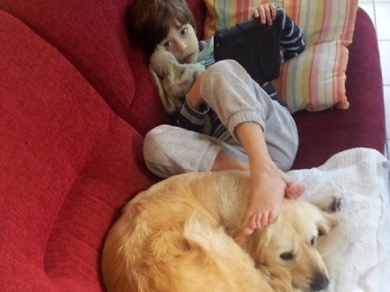 Le petit Noah interdit d ecole dans le departement Val D Oise ici sur le canape avec son chien d assistance