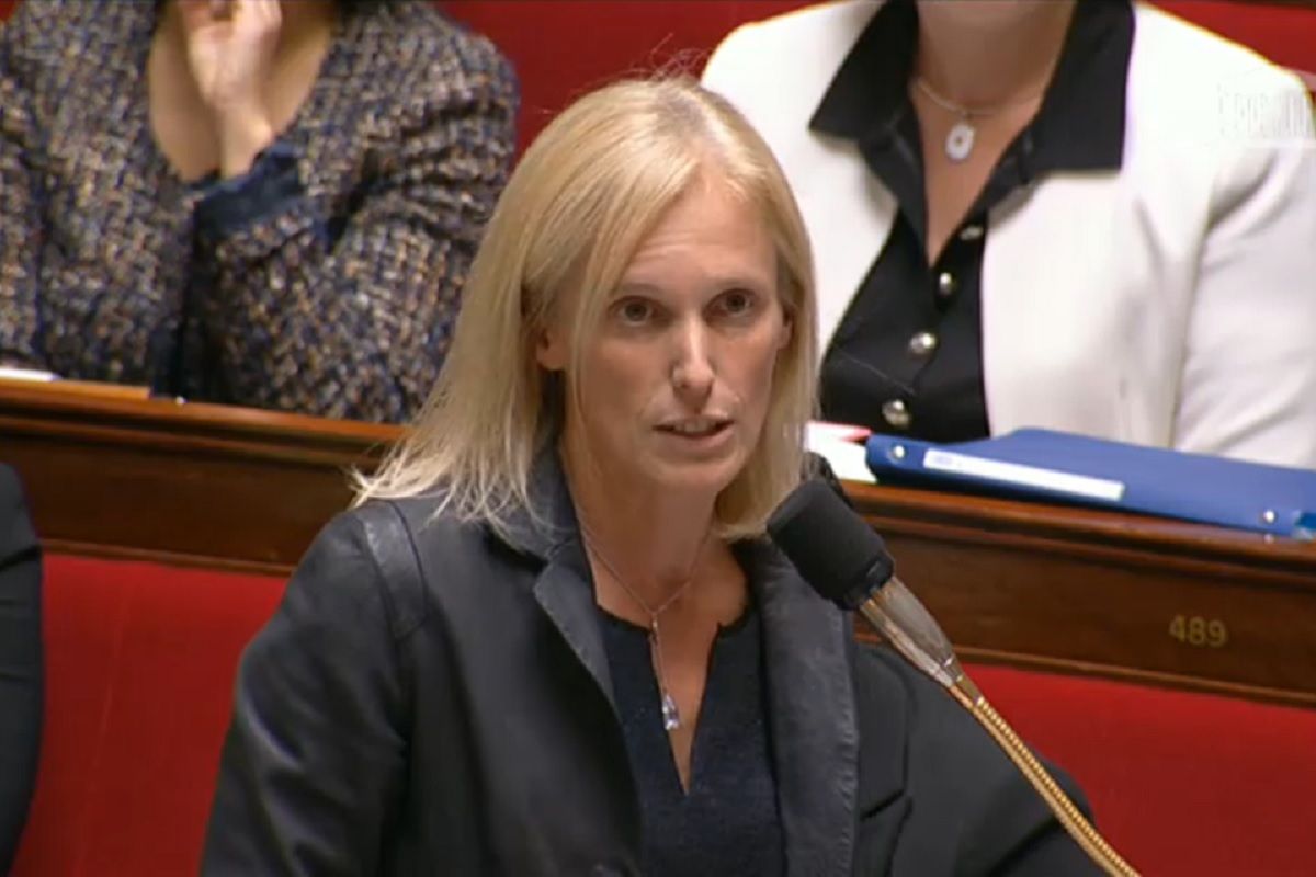 Segolene Neuville a l assemblee nationale lors de la seance des questions au gouvernernement