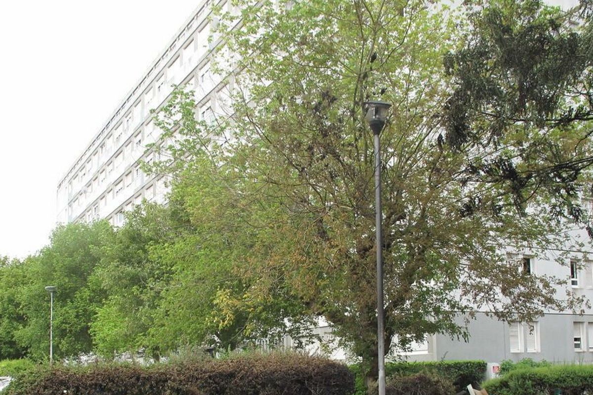 Quartier Grignon a Thiais dans le Val de Marne