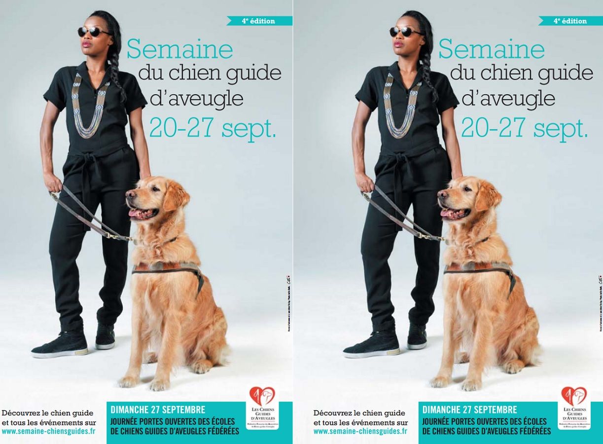 Affiche en double de la 4e edition de la semaine du chien guide d aveugle 2015