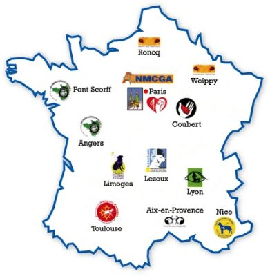 L’école des chiens guides d’Aveugles de l’Ouest, dont le siège est situé à Bouchemaine près d’Angers lors de la journée porte ouverte en 2011. Un moniteur avec un chien en formation apprend a celui-ci a évité des travaux sur la chaussé. ©FFAC/FHI
