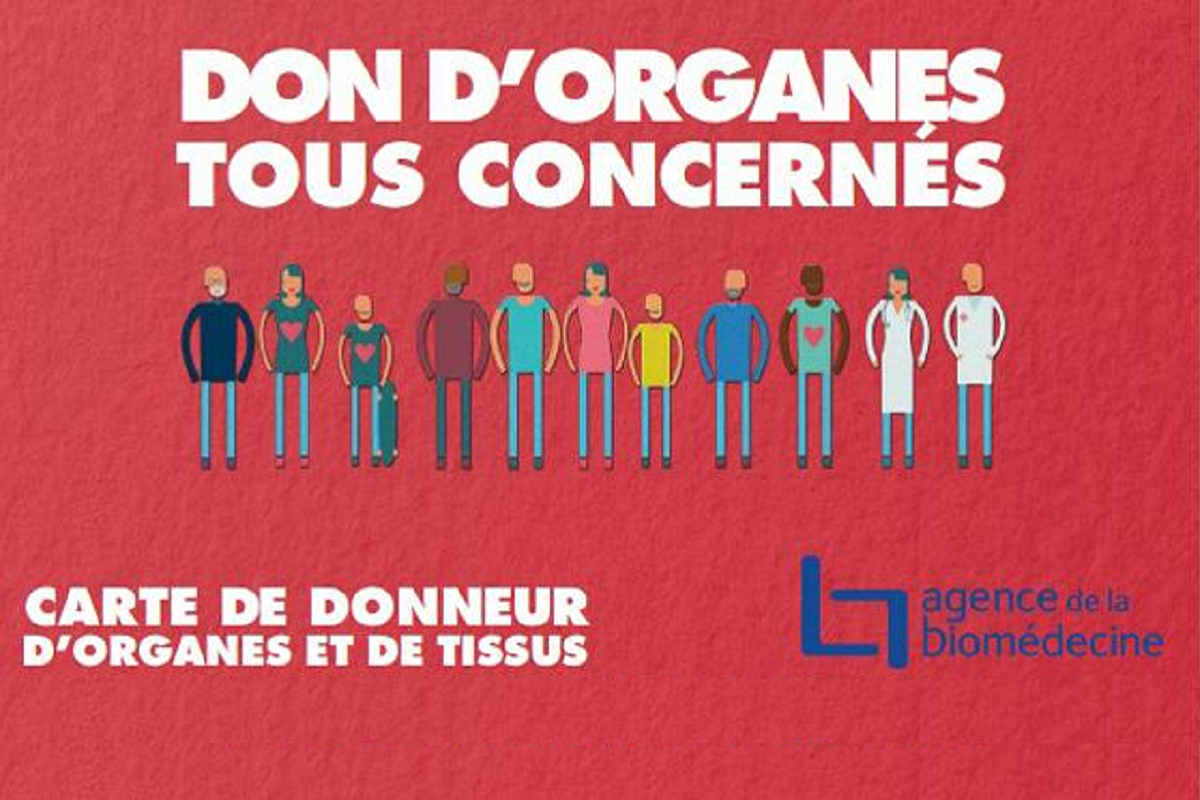 Dons dorgane et de tissus tous concernee