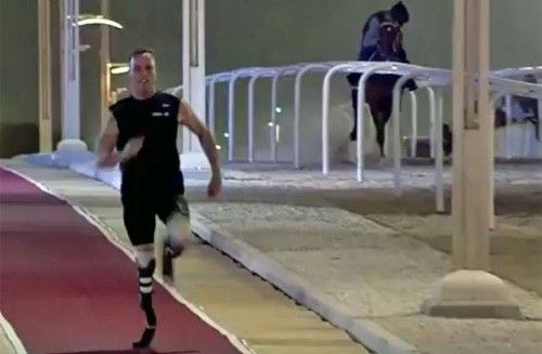 Oscar Pistorius contre un pur sang arabe au Quatar © Capture d'écran Youtube