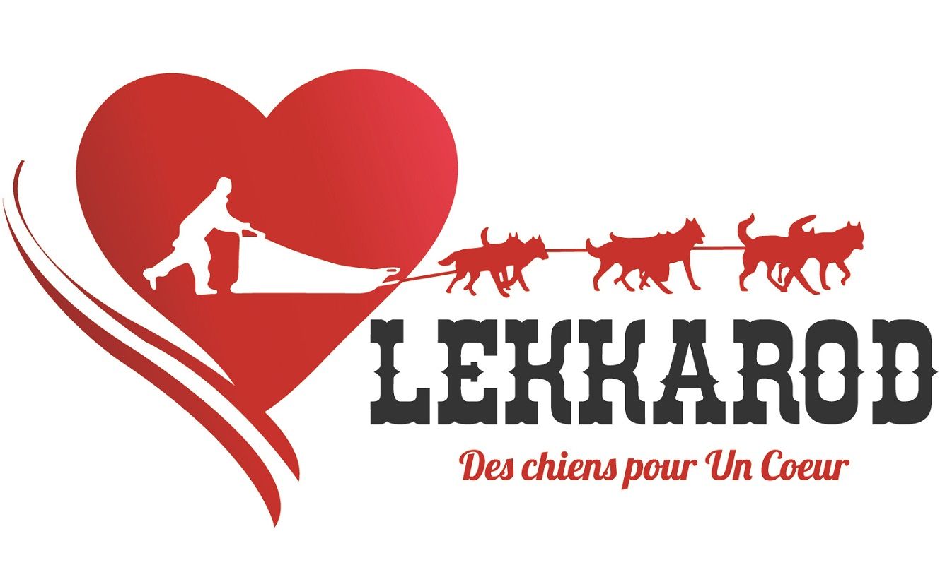 Course Lekkarod Des chien pour un coeur