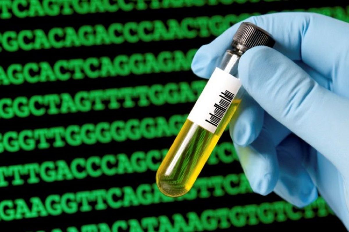 Le sequencage complet de l exome illustration