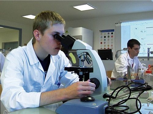 Un Laboratoire et ces chercheurs (archives)
