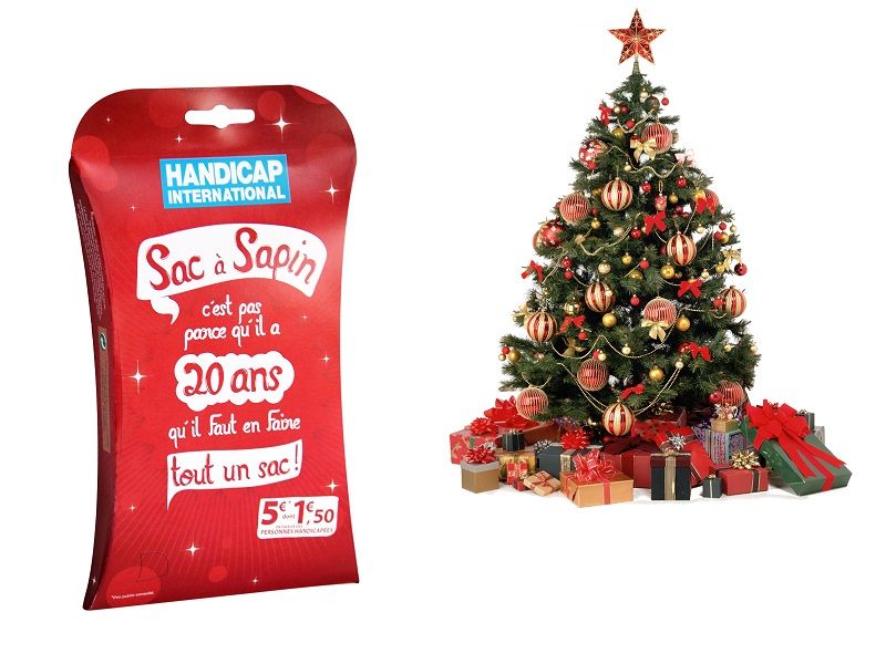 Le Sac a sapin fete cette année ses 20 ans l'ONG handicap international